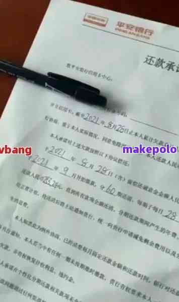 网贷逾期找法务协商需要提供收入证明吗