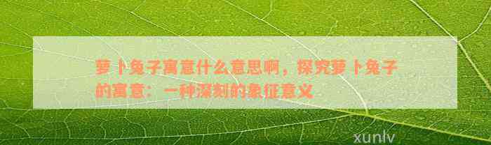 萝卜兔子寓意什么意思啊，探究萝卜兔子的寓意：一种深刻的象征意义